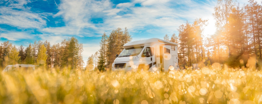 Weißer Camper inmitten eines goldenen Getreidefelds unter blauem Himmel.