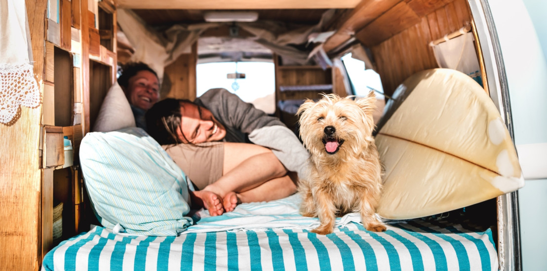 Paar liegt im Bett im Camper, mit einem fröhlichen Hund im Vordergrund