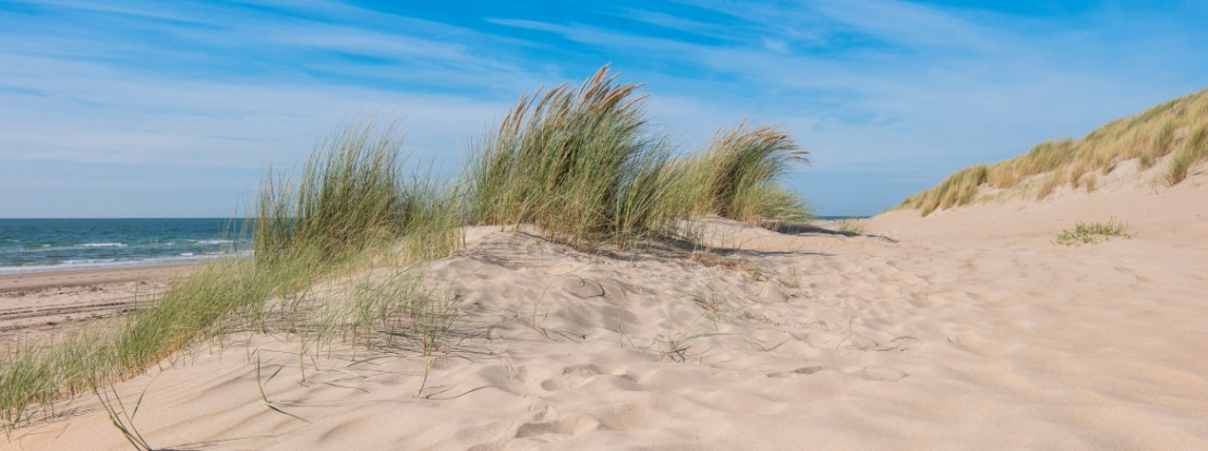 Dünenlandschaft in Zeeland